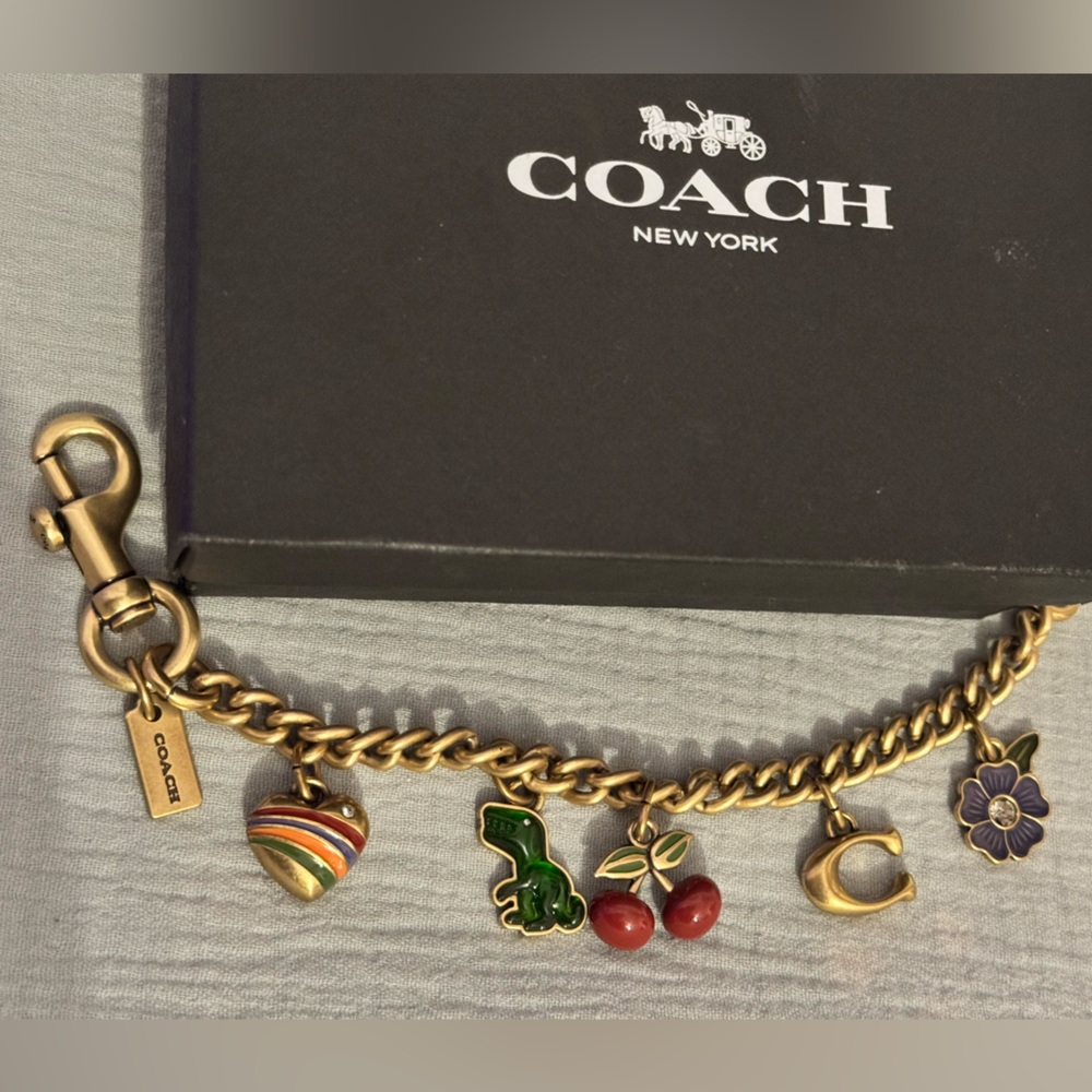NWT Coach Motif Chain Bag Charm 🦖🍒🌸🧡